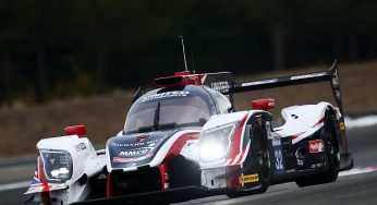 24h Daytona | Fernando Alonso scatterà dalla tredicesima posizione