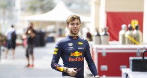 gasly red bull 1