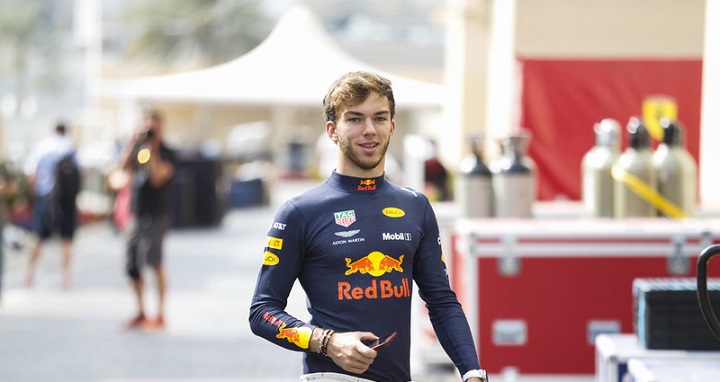 gasly red bull 1