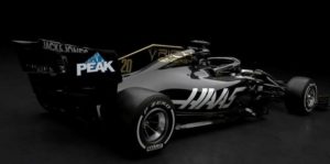 Haas 2019