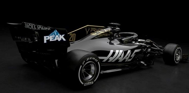 Haas 2019