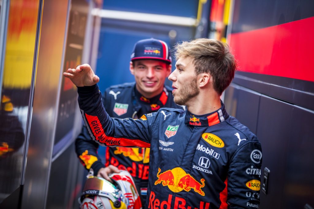 gasly red bull