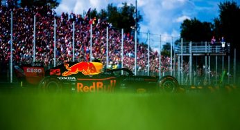 Albon: “Sto apprendendo molto da Verstappen”