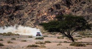 Alonso Dakar