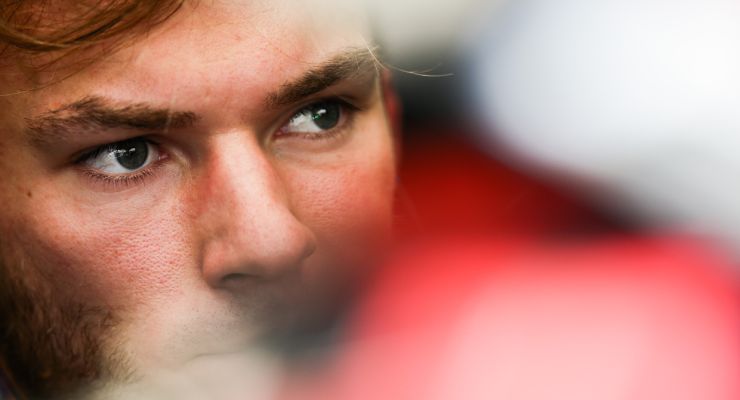 Gasly Red Bull