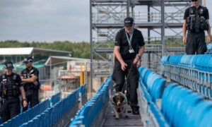 silverstone invasione di pista