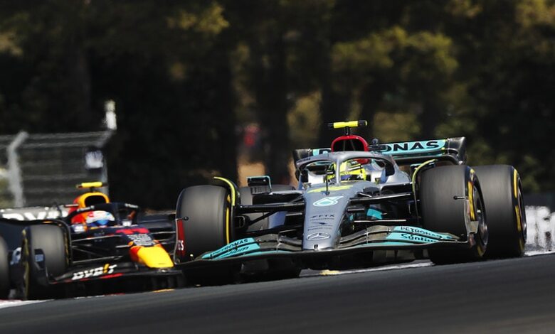 horner francia mercedes (1)