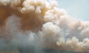 F1 incendi Canada