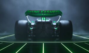 sauber stake