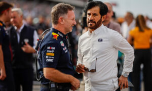 Red Bull Horner FIA