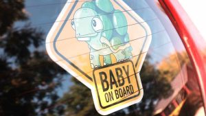 Bambino a bordo