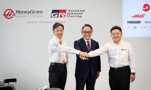 Haas-Partnership