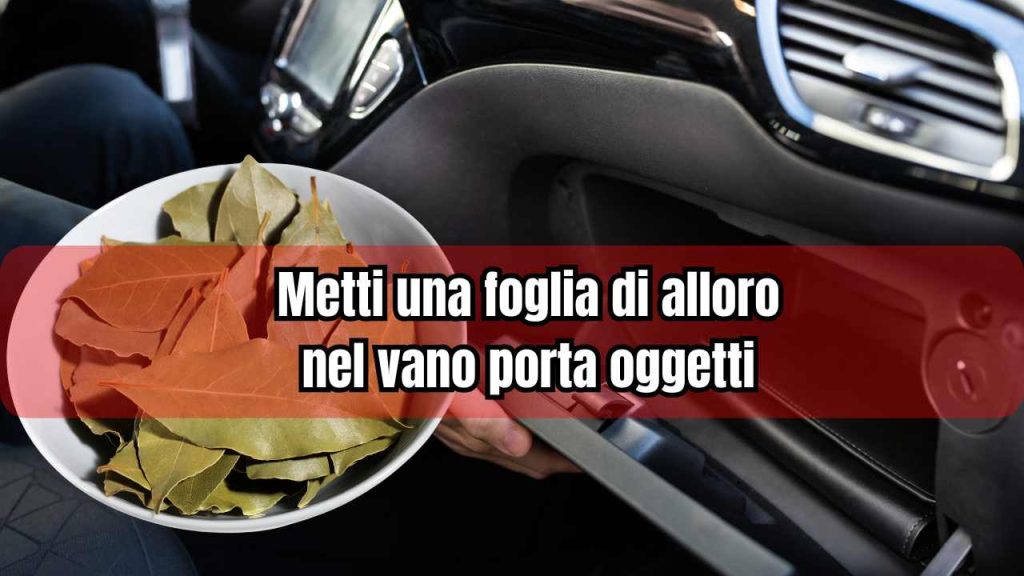 Una foglia di alloro nel vano portaoggetti - fonte_Canva - f1world.it