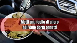 Una foglia di alloro nel vano portaoggetti - fonte_Canva - f1world.it