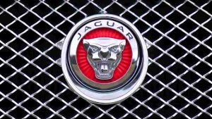 Jaguar logo