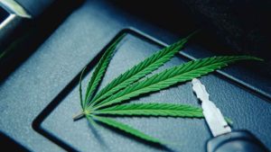 cannabis-legale-guida-in-auto-depositphotos-f1world.it